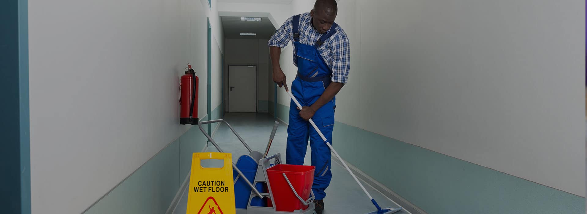 Cleaning And Maintenance
